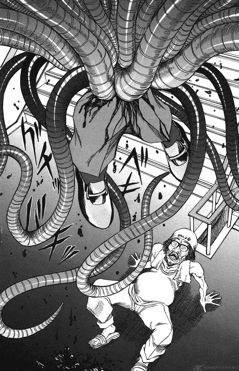 Bio Meat 4 46