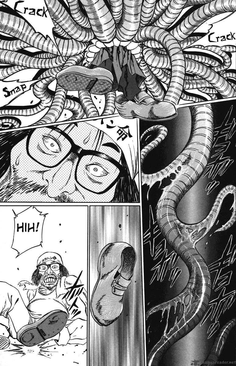 Bio Meat 4 47