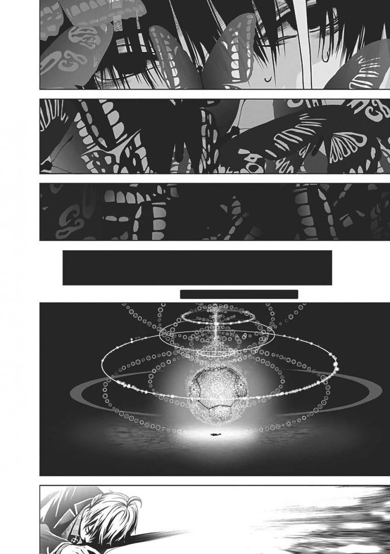 Biorg Trinity 55 45