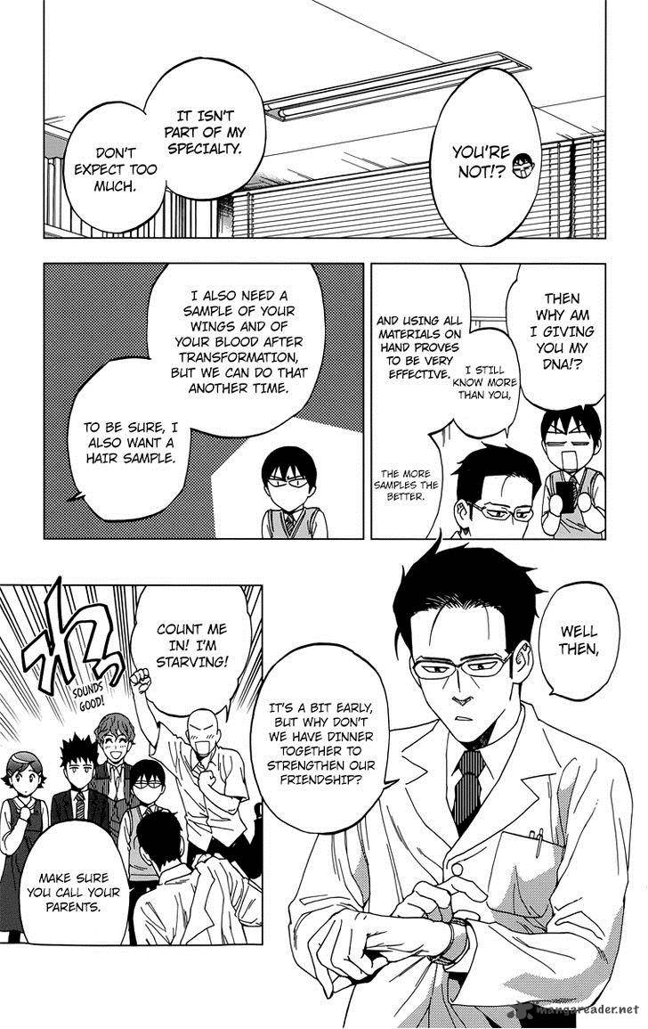 Birdmen 12 4