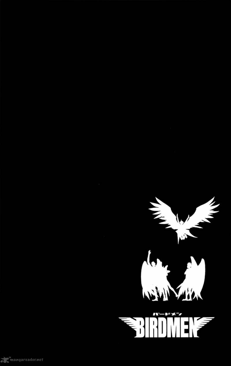 Birdmen 14 10