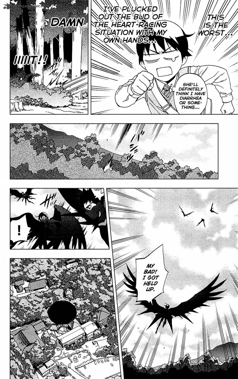 Birdmen 15 37