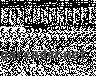 Birdmen 16 36