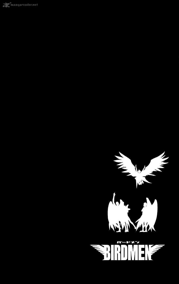 Birdmen 17 34