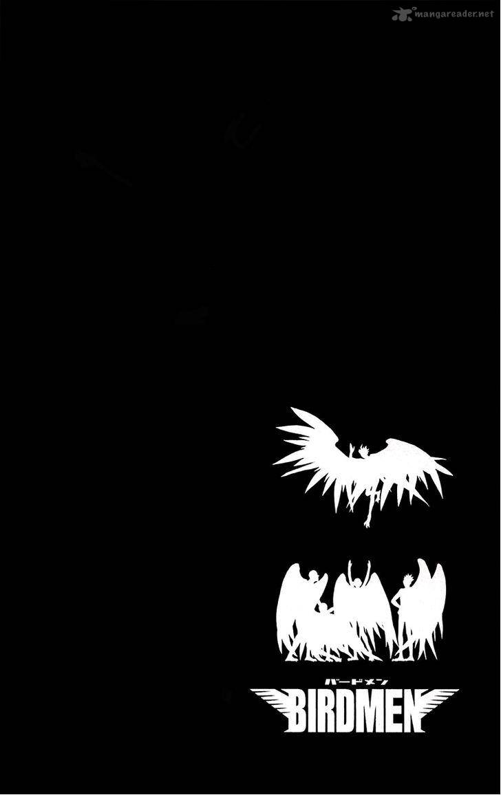 Birdmen 19 8