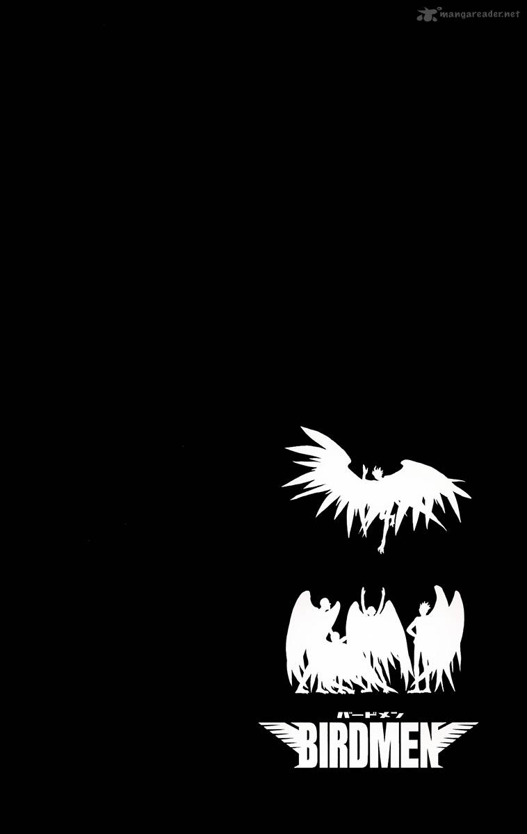 Birdmen 20 38