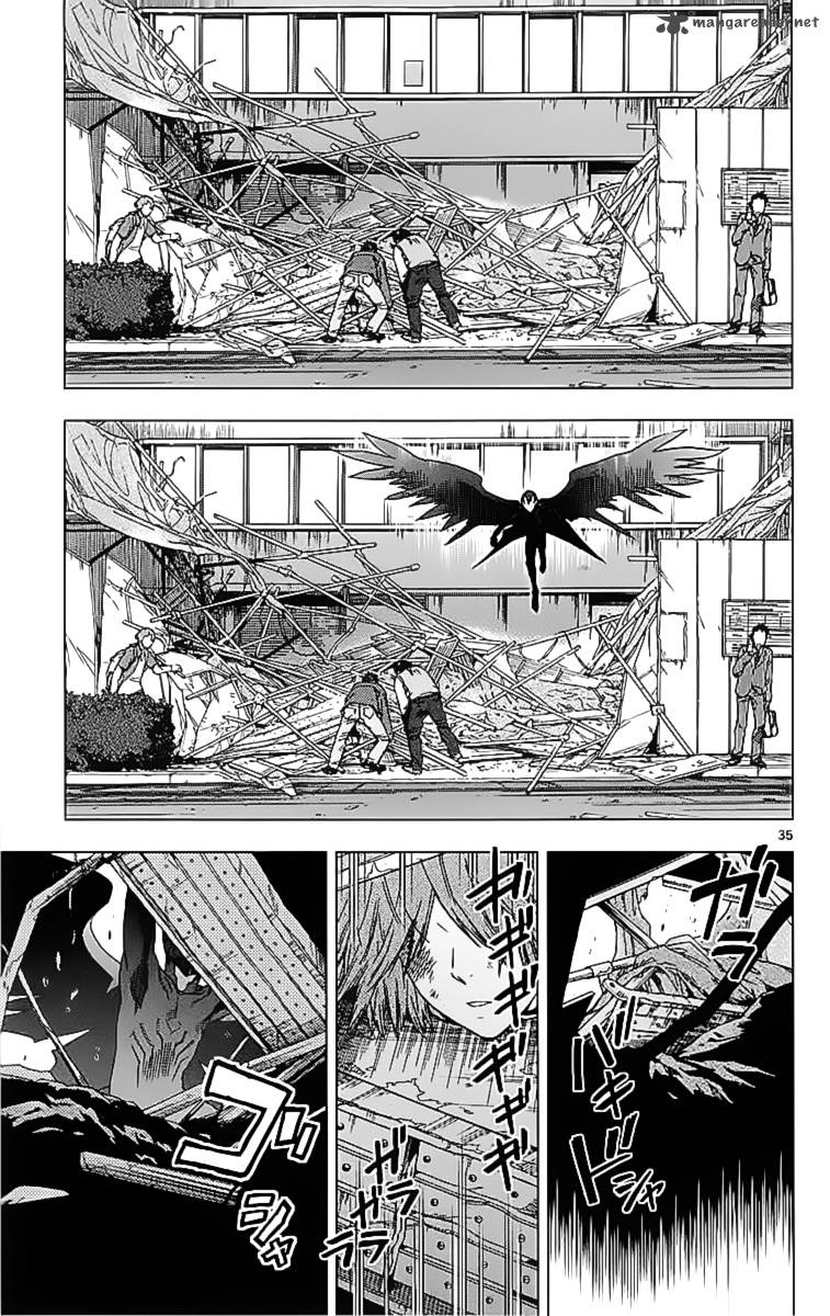 Birdmen 21 34