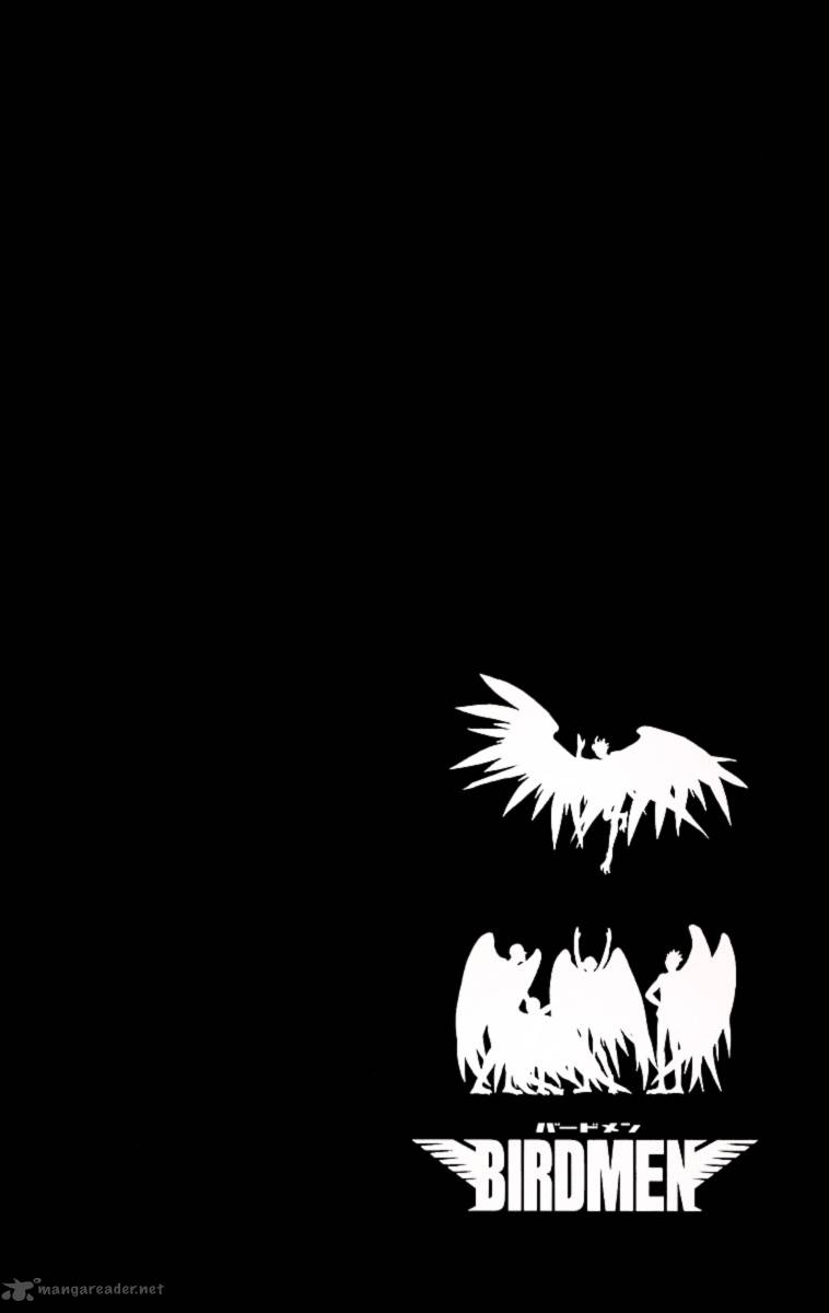 Birdmen 21 37