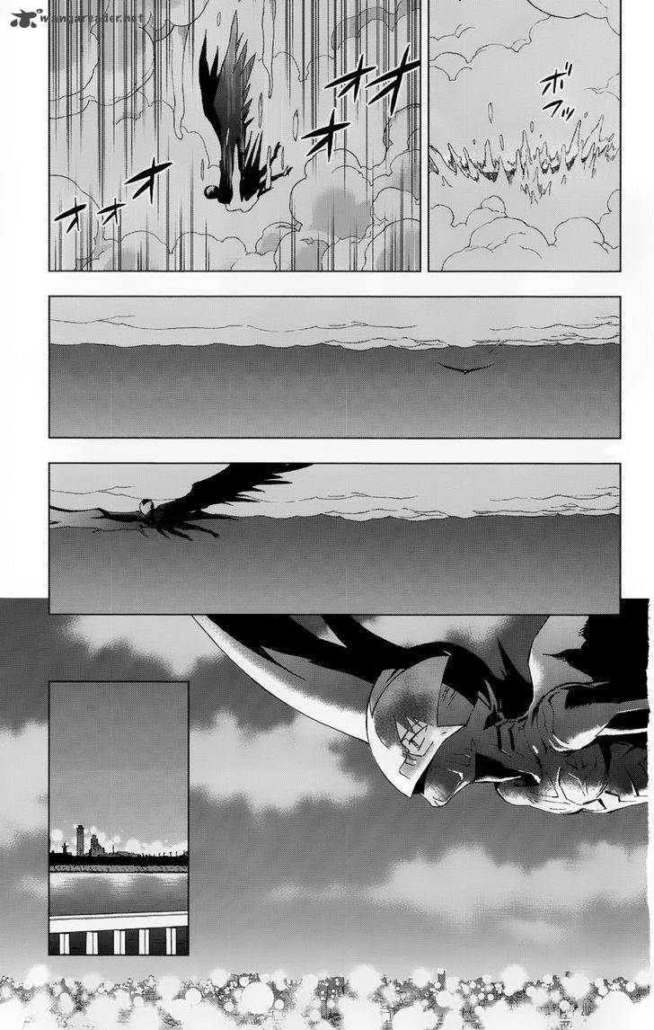 Birdmen 24 17