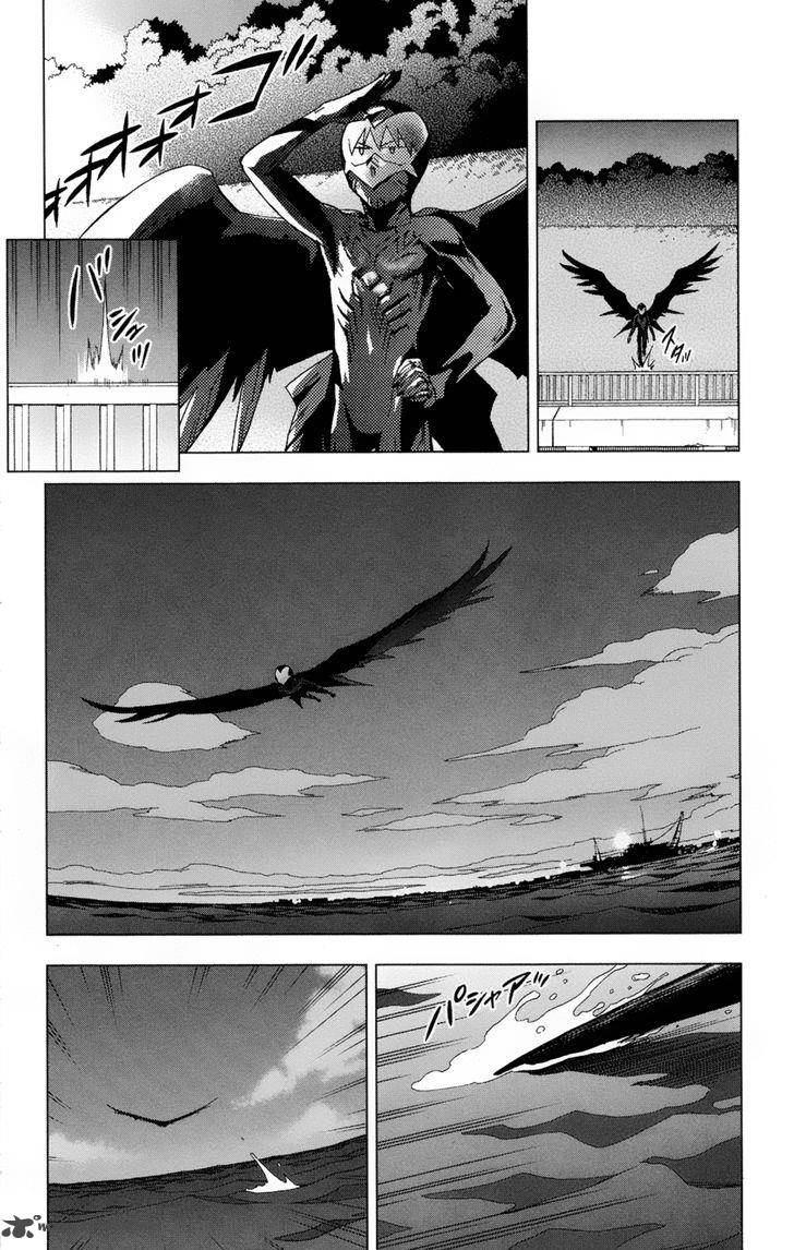 Birdmen 24 18
