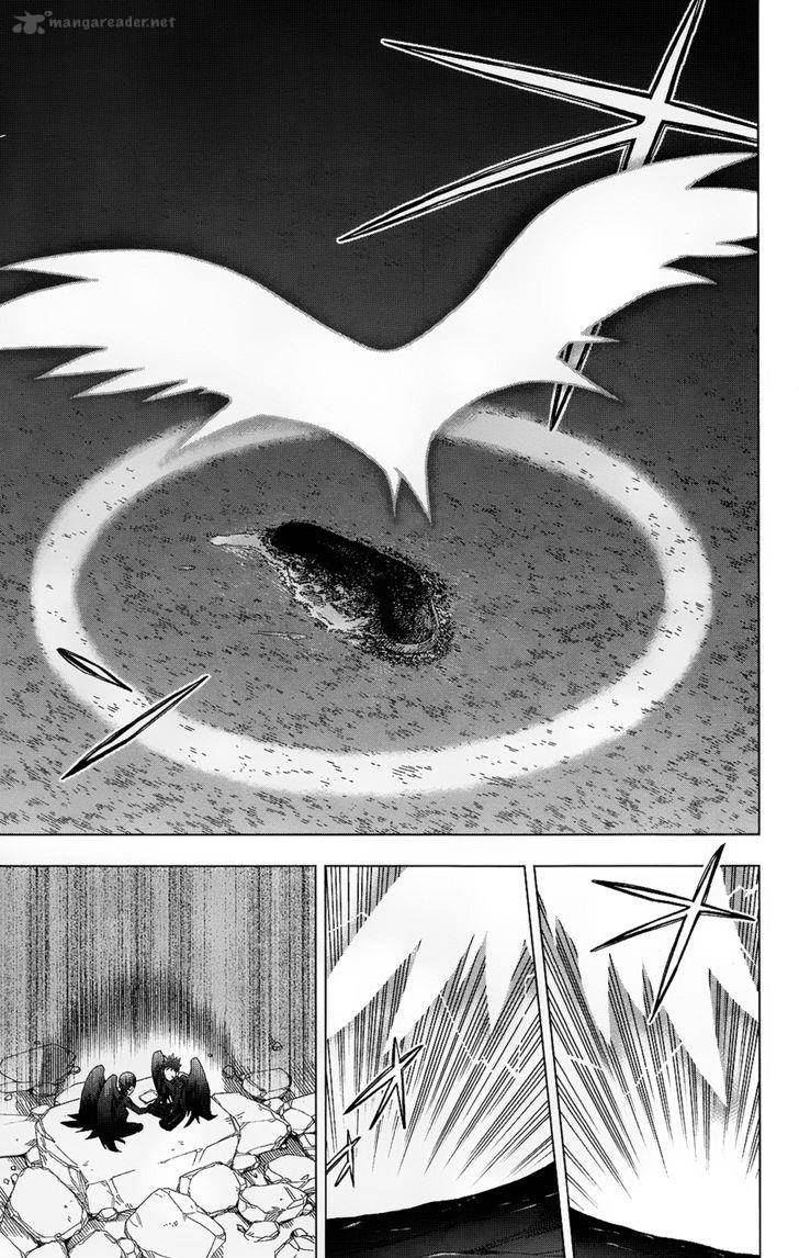 Birdmen 24 31