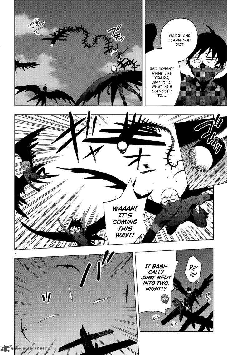 Birdmen 24 8