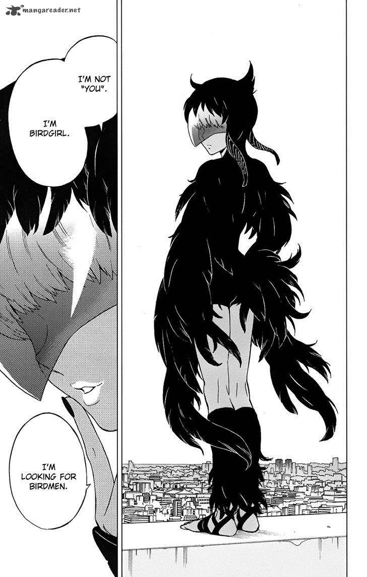 Birdmen 26 9