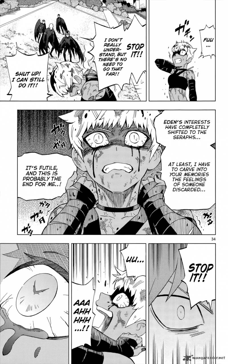 Birdmen 28 35