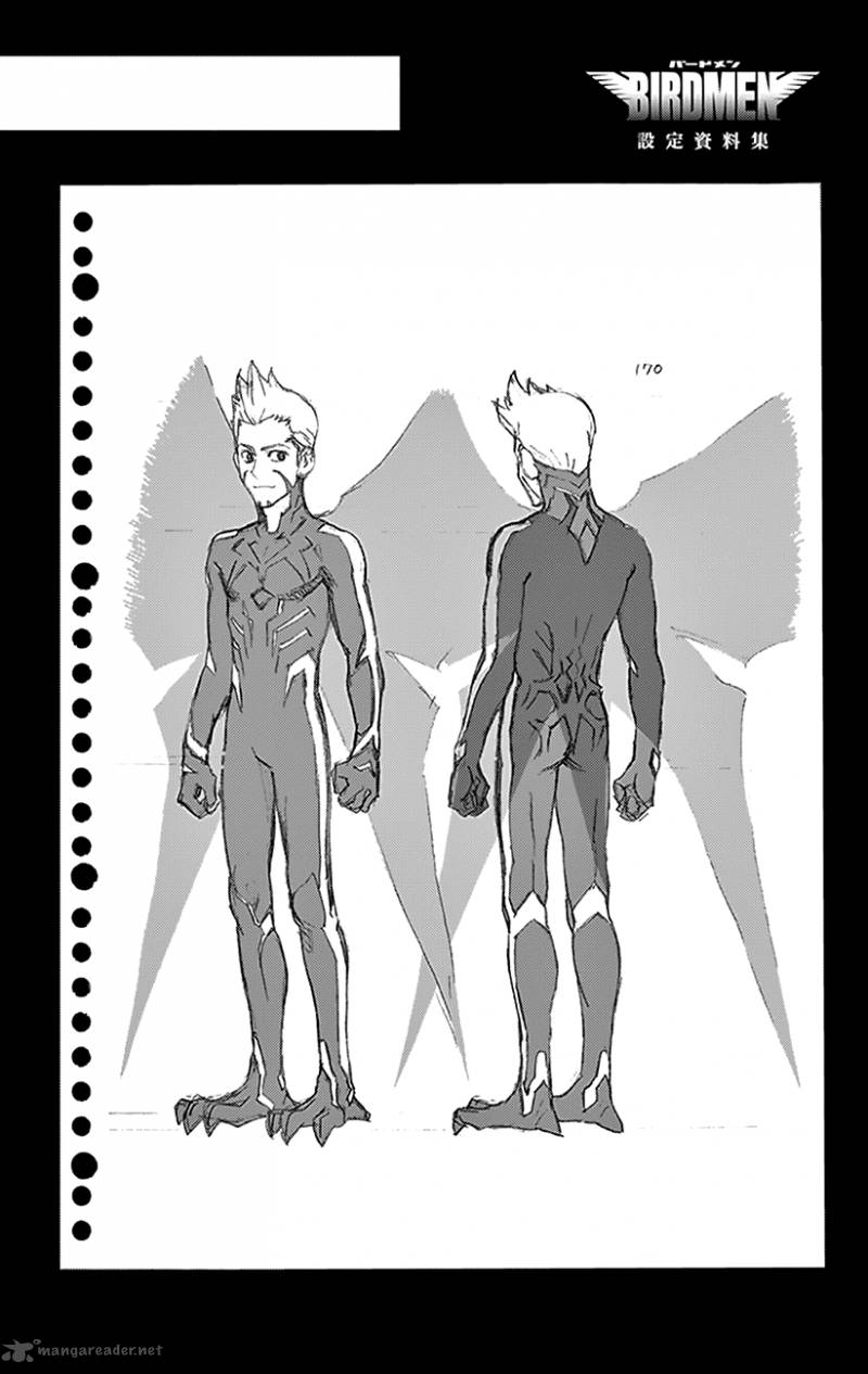 Birdmen 33 43