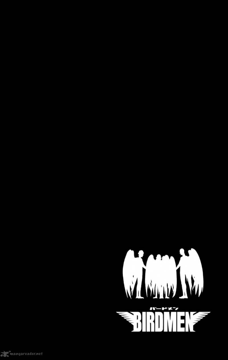 Birdmen 35 34