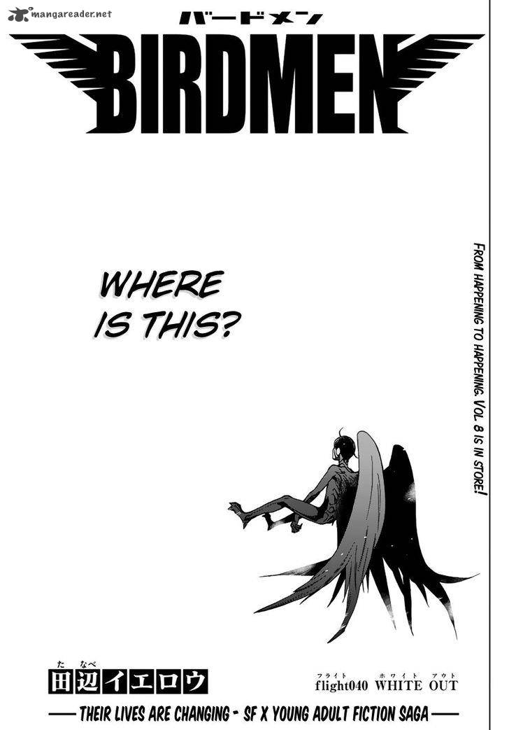 Birdmen 40 4