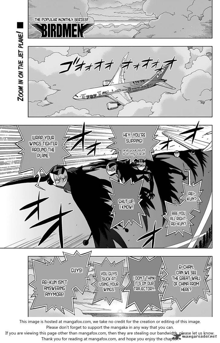 Birdmen 43 1