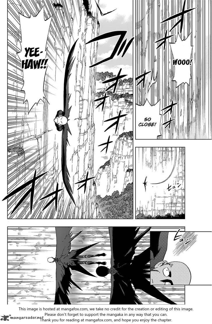 Birdmen 43 8
