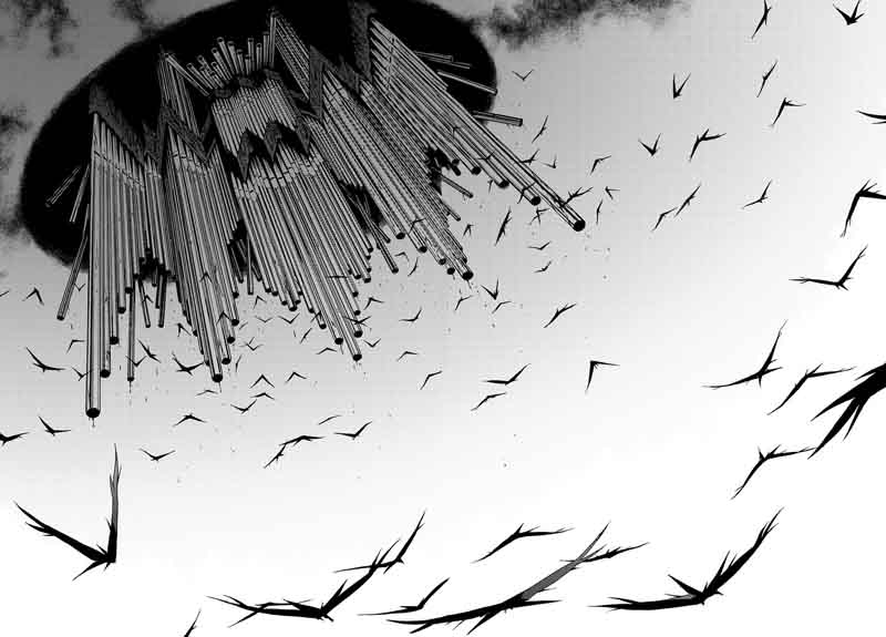 Birdmen 46 12
