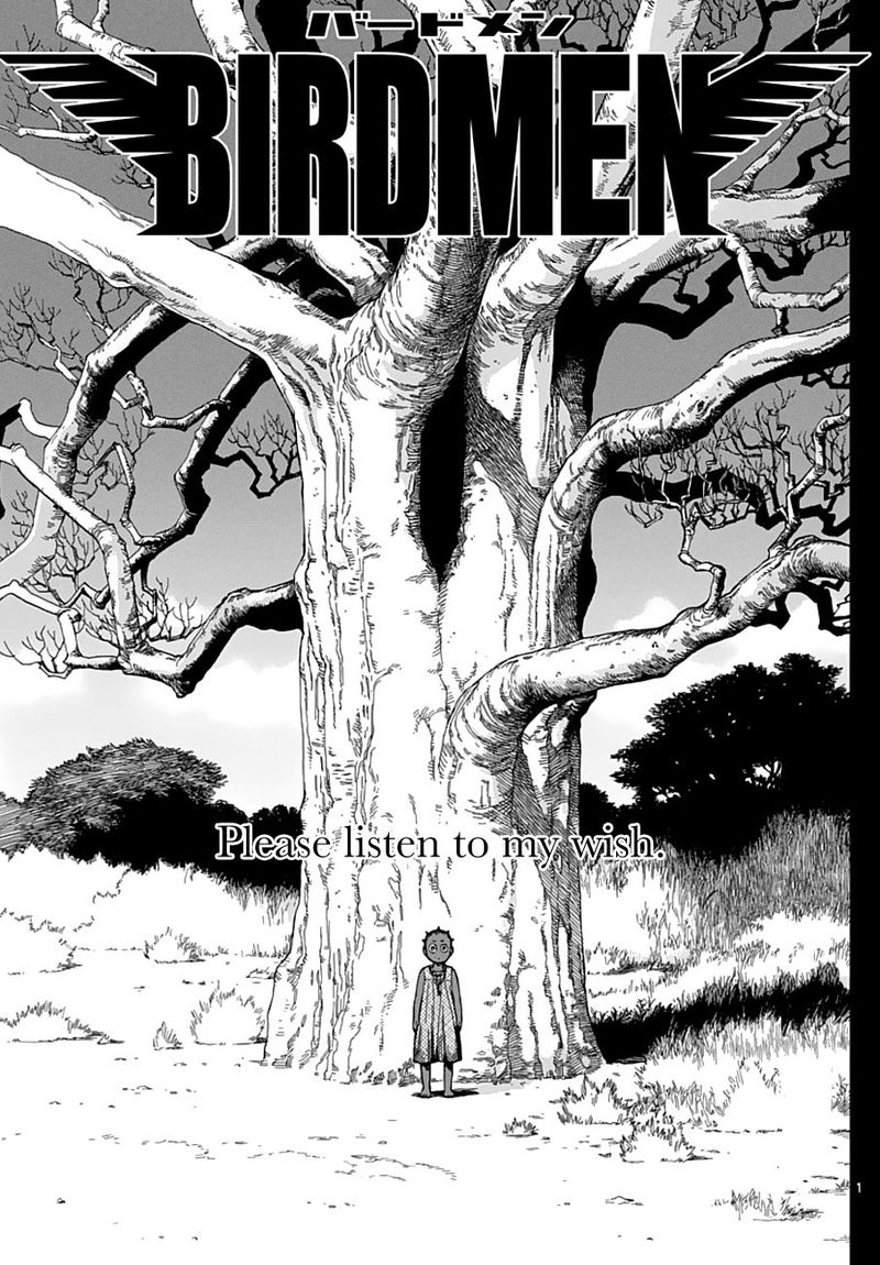 Birdmen 55 1