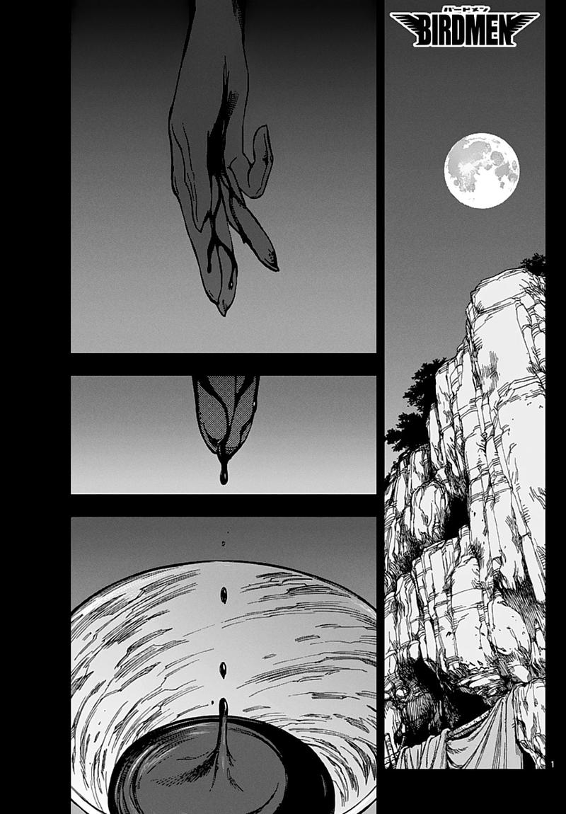 Birdmen 56 1