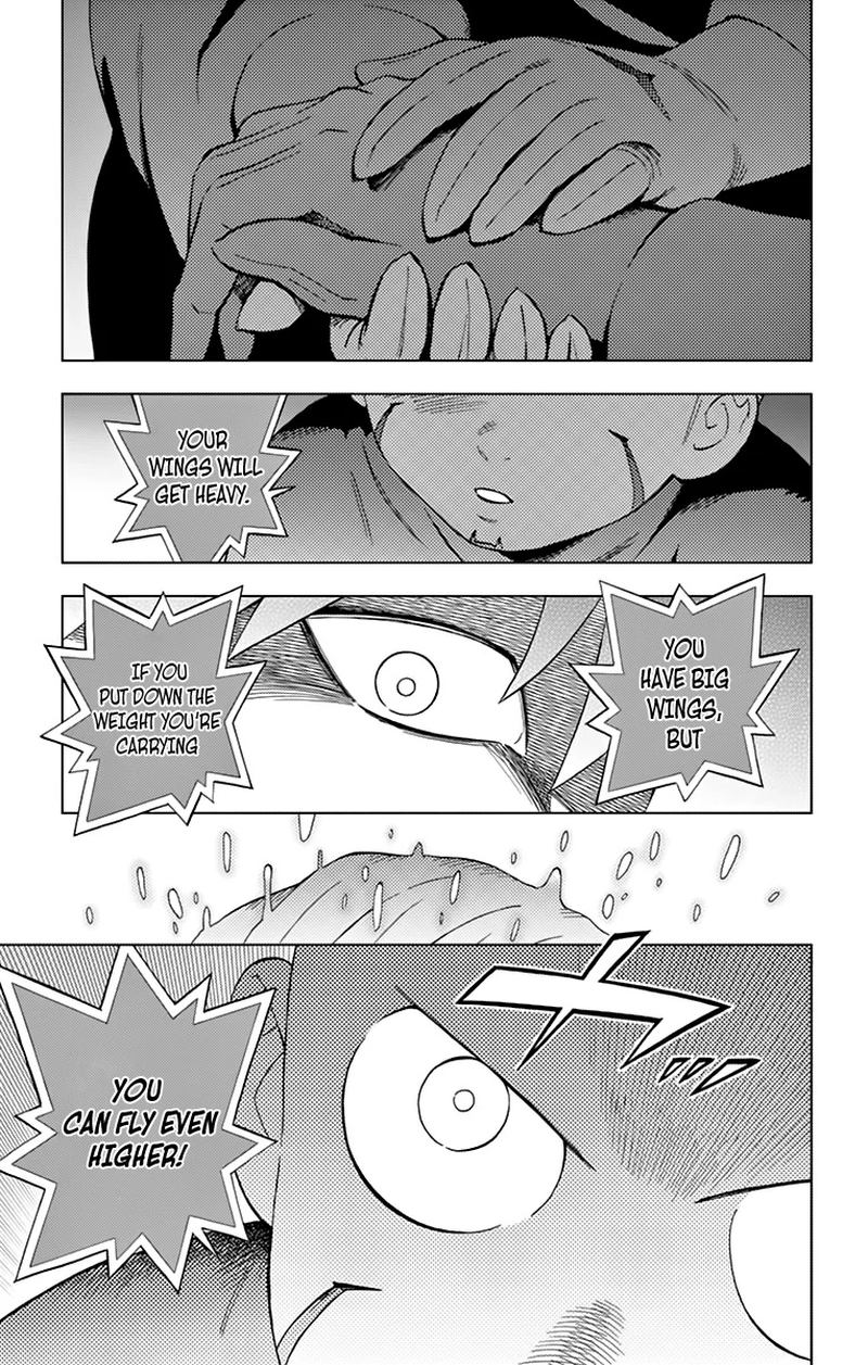 Birdmen 60 30