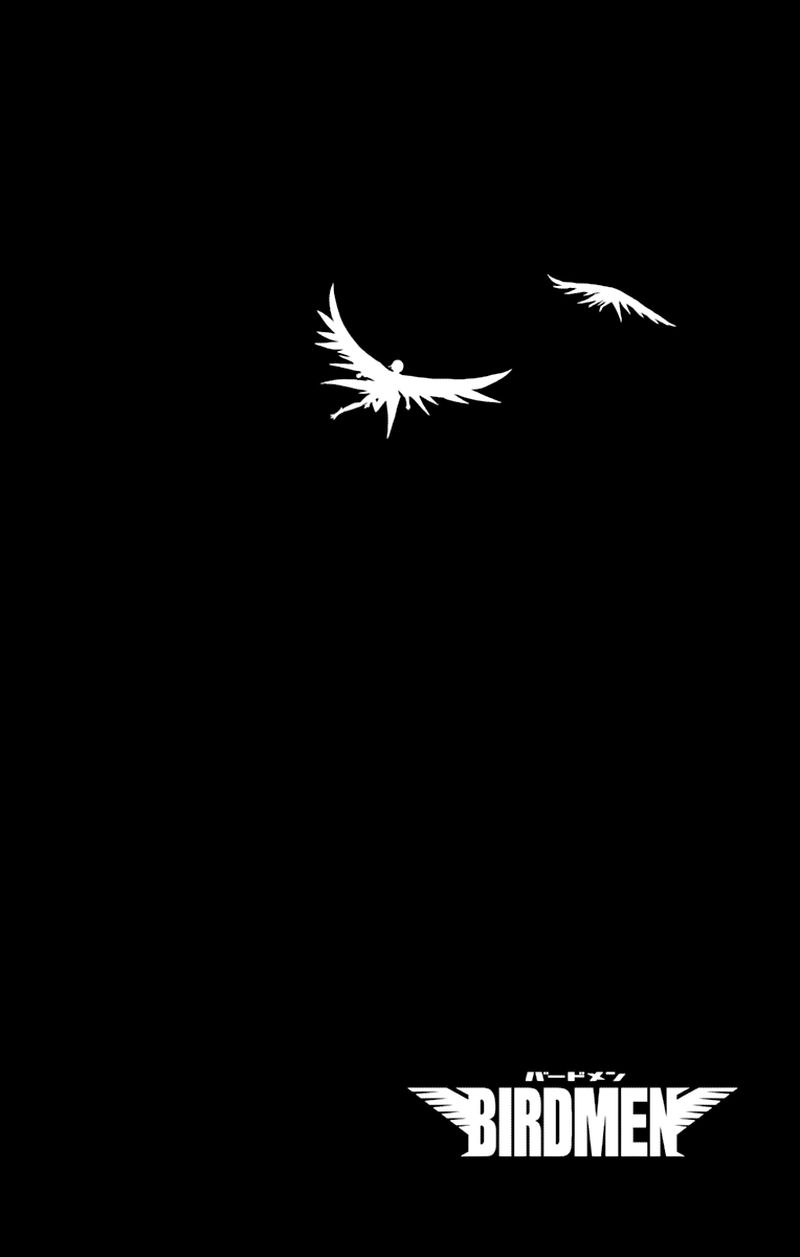 Birdmen 63 36