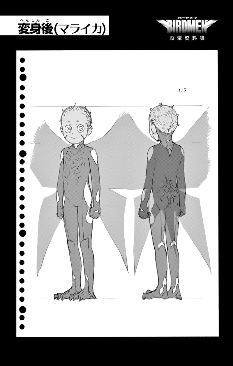 Birdmen 63 37