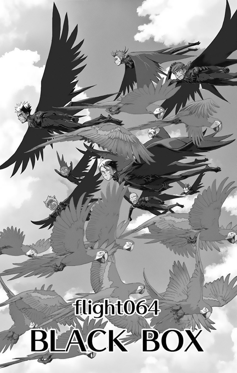 Birdmen 64 3