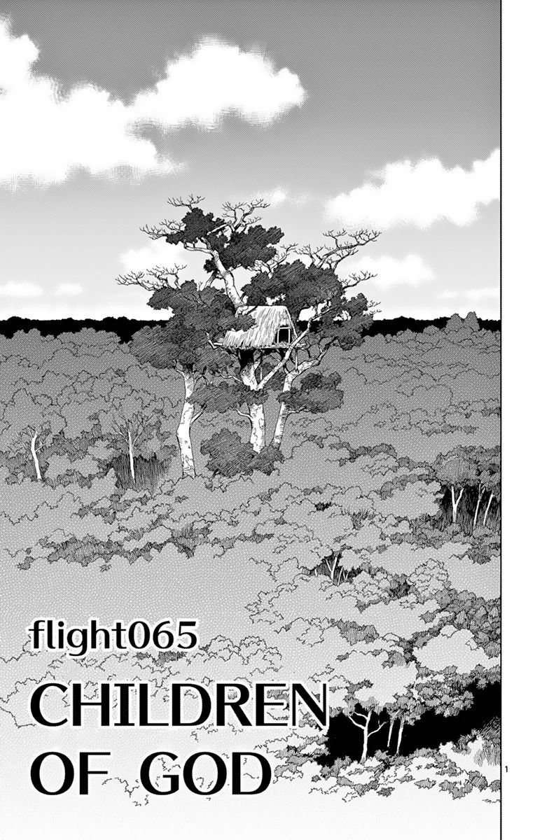 Birdmen 65 1