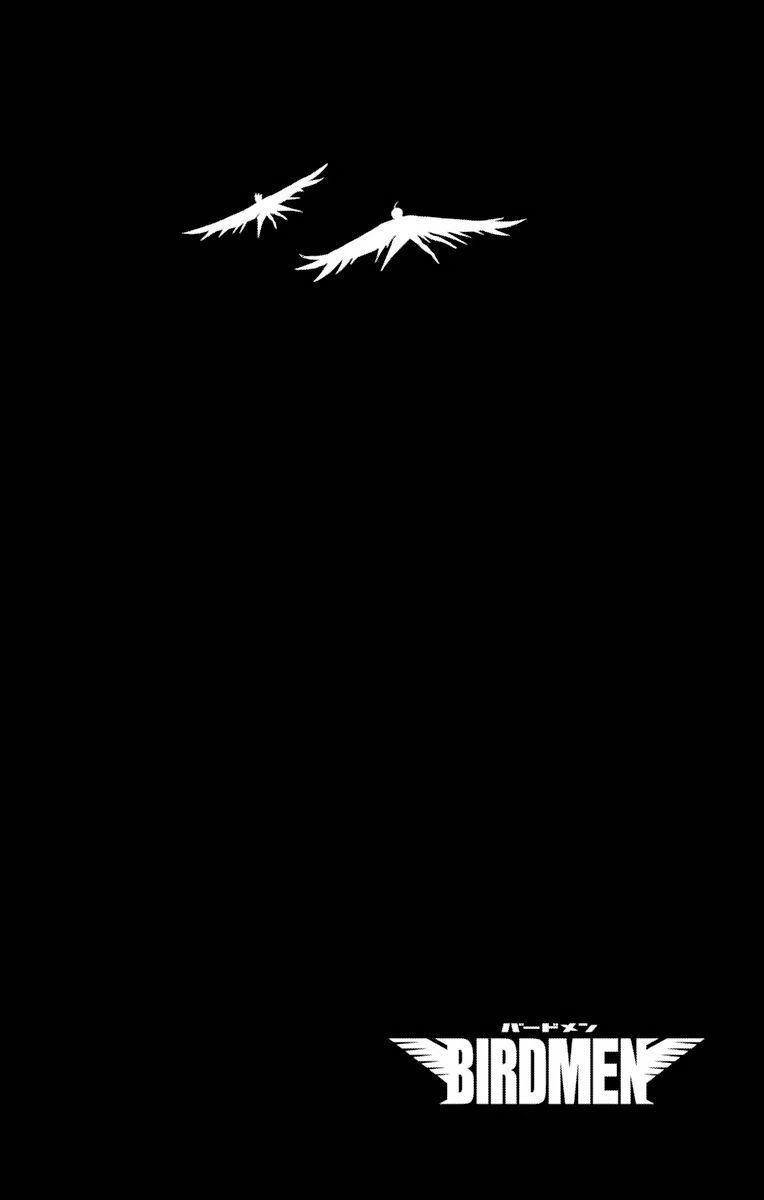 Birdmen 67 42