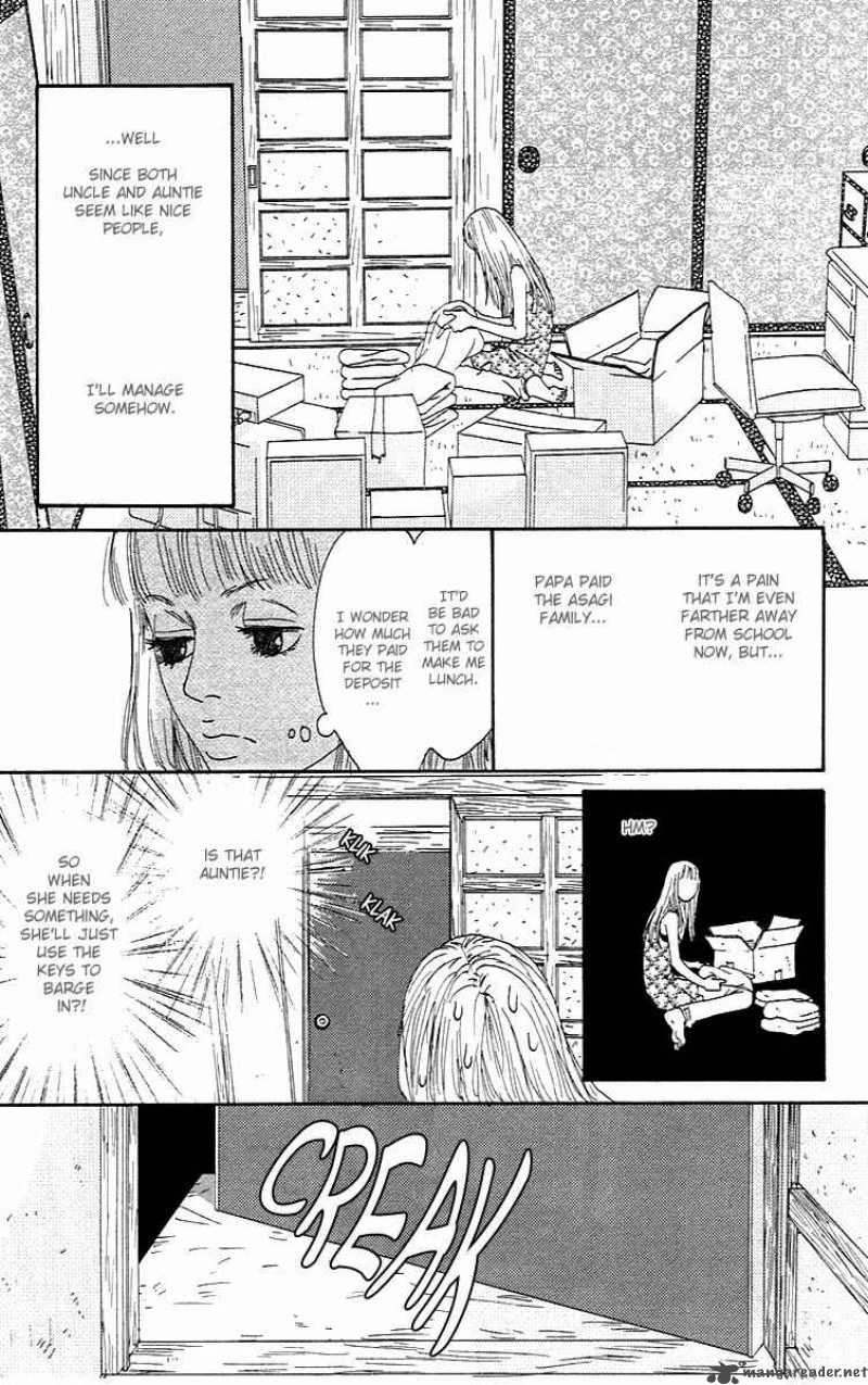 Bitou Lollipop 1 40