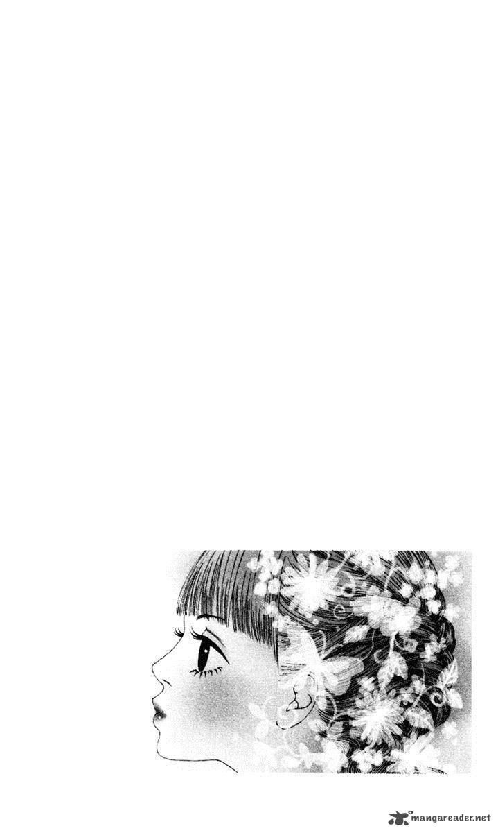 Bitou Lollipop 12 43