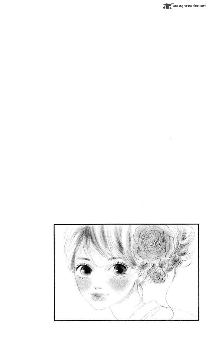 Bitou Lollipop 13 2