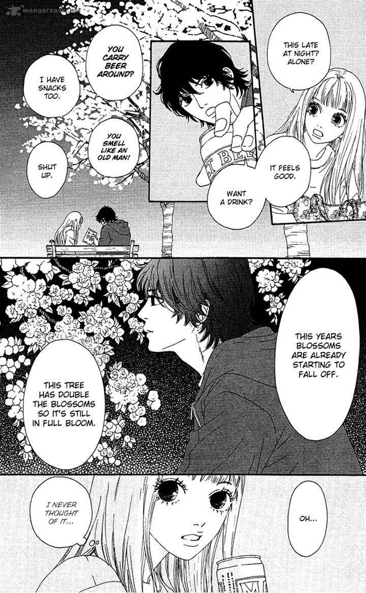 Bitou Lollipop 14 16