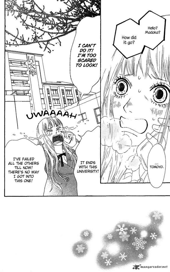 Bitou Lollipop 24 2