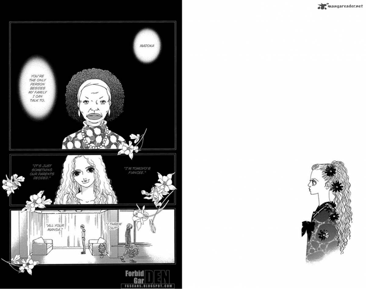 Bitou Lollipop 27 2