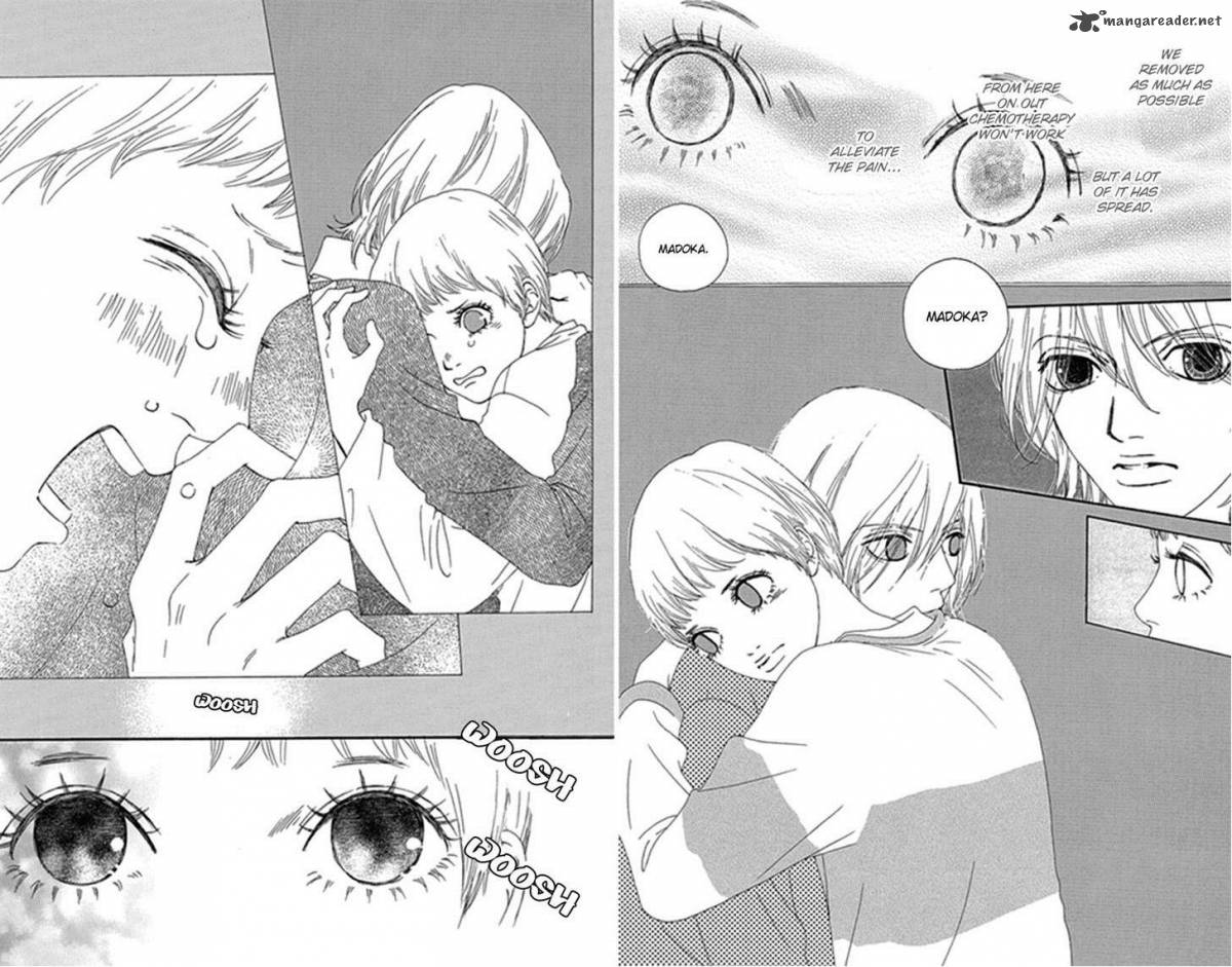 Bitou Lollipop 27 8