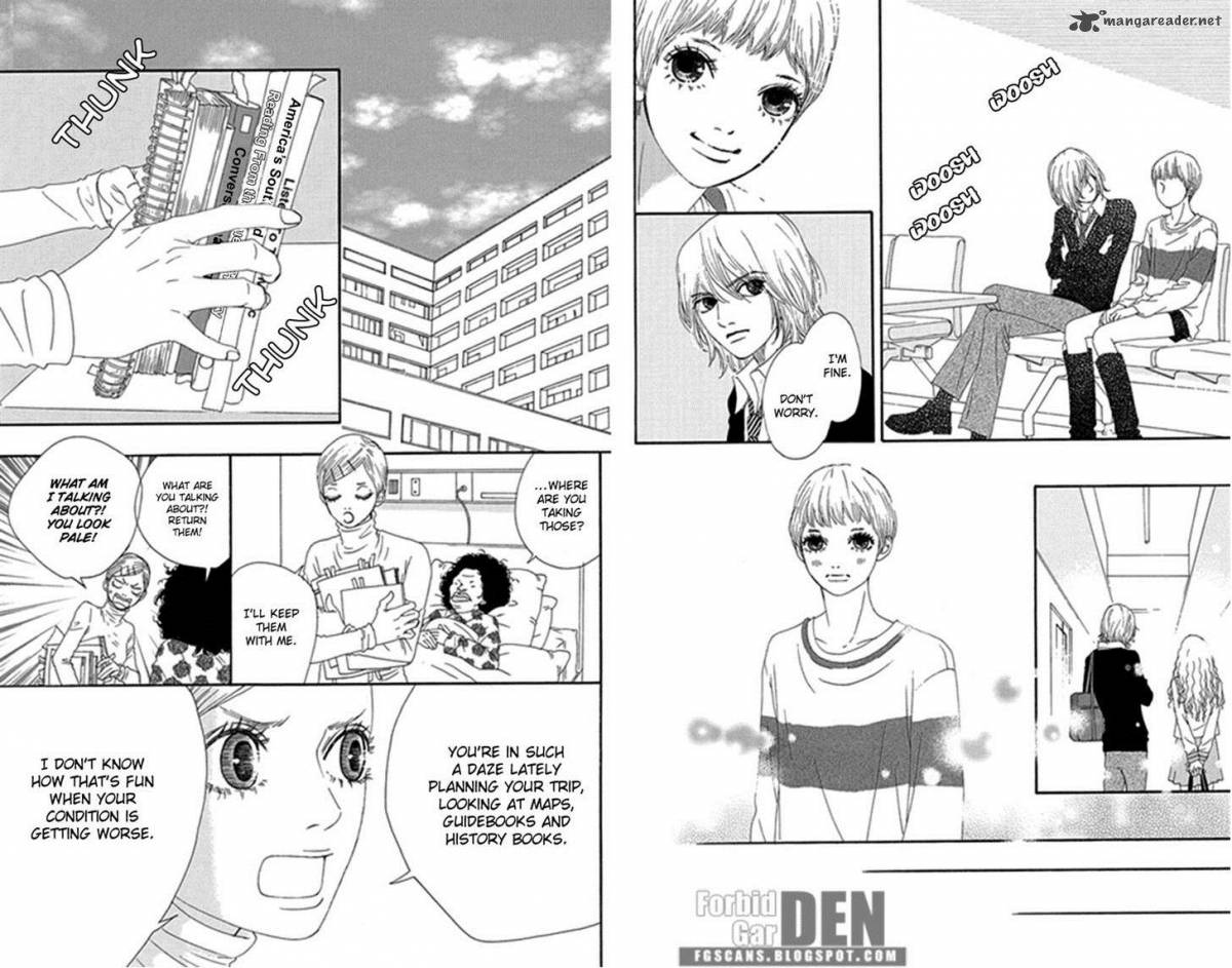 Bitou Lollipop 27 9