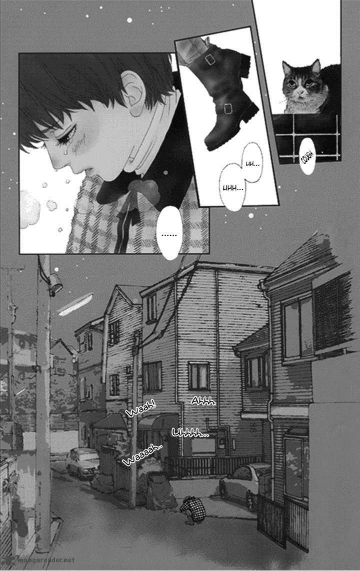Bitou Lollipop 32 1