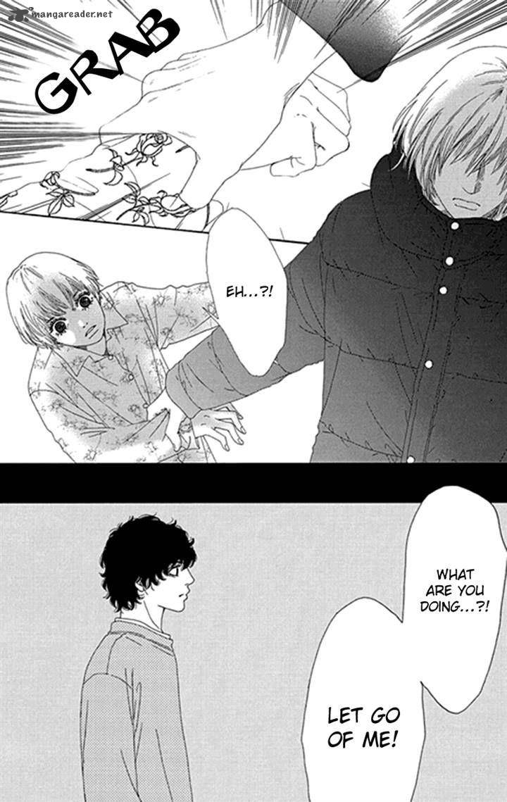 Bitou Lollipop 33 19