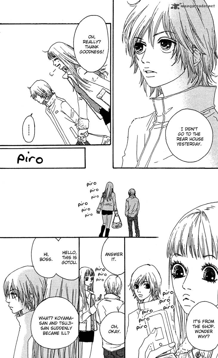 Bitou Lollipop 9 11