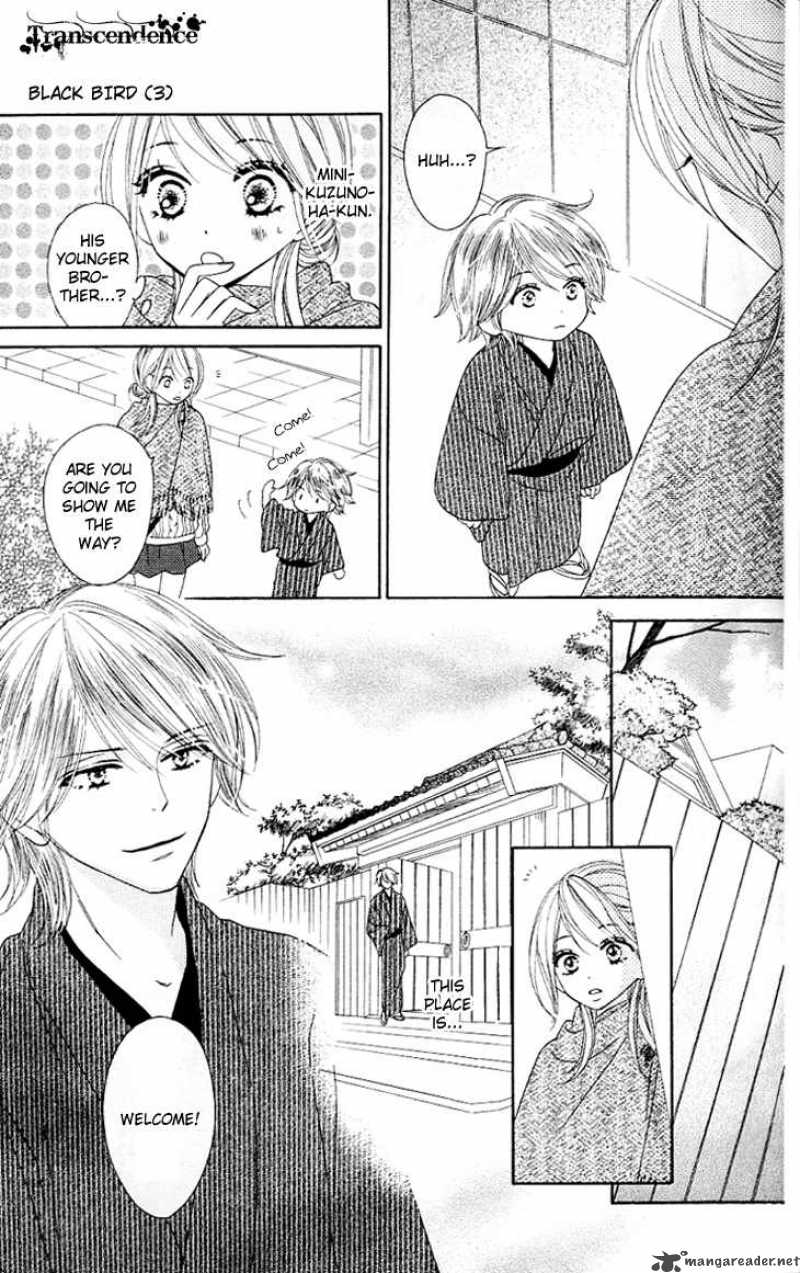 Black Bird 11 5