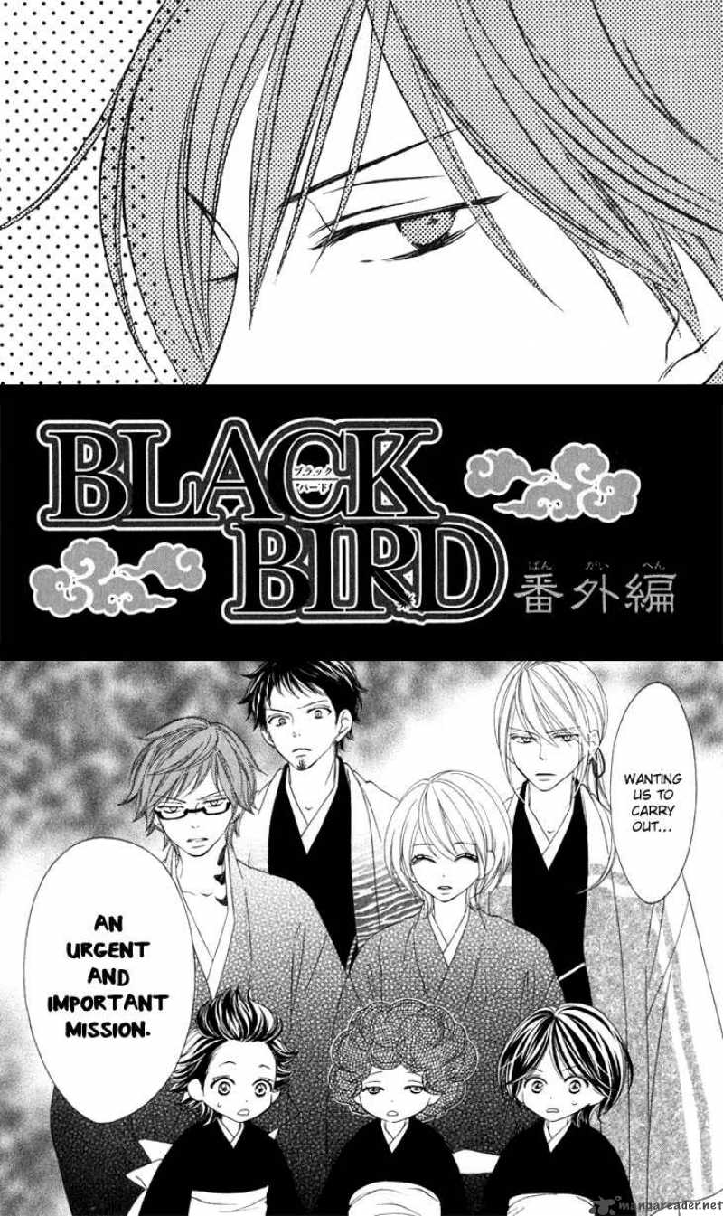 Black Bird 14 2