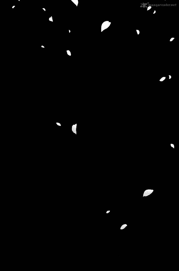 Black Bird 32 4