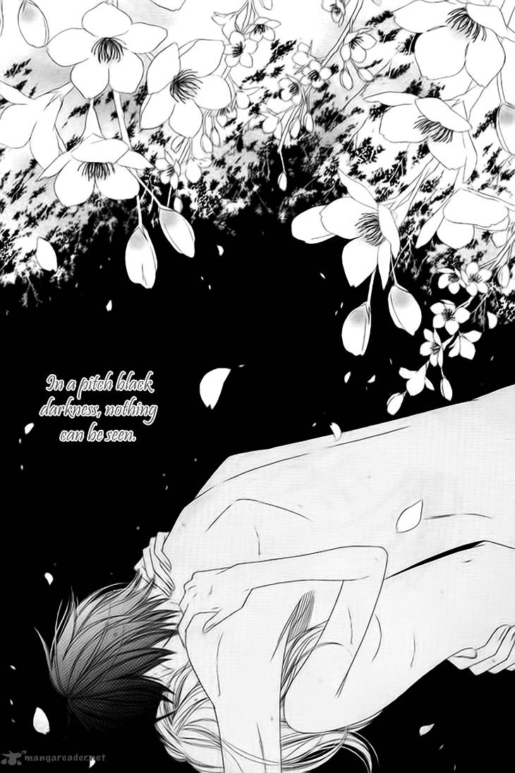 Black Bird 32 44
