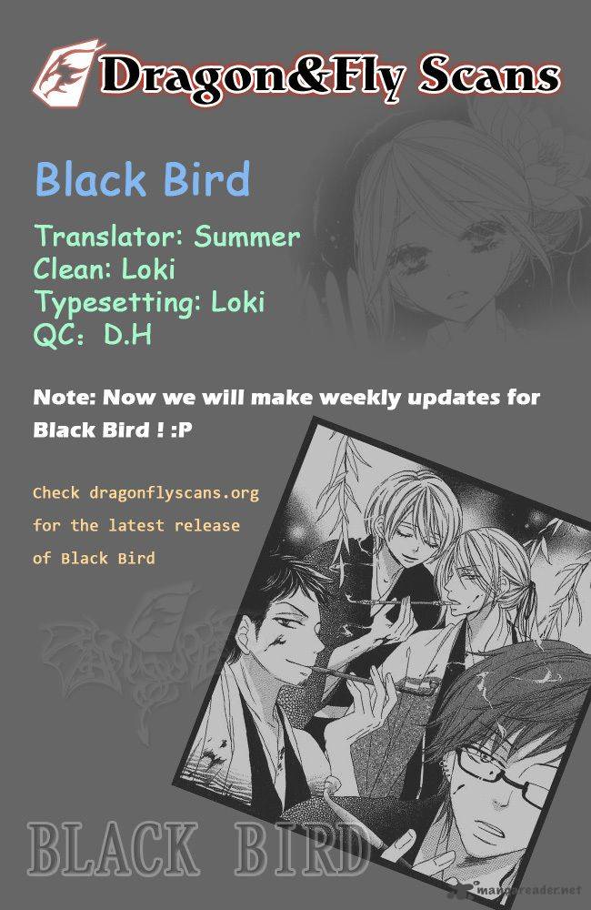 Black Bird 33 1