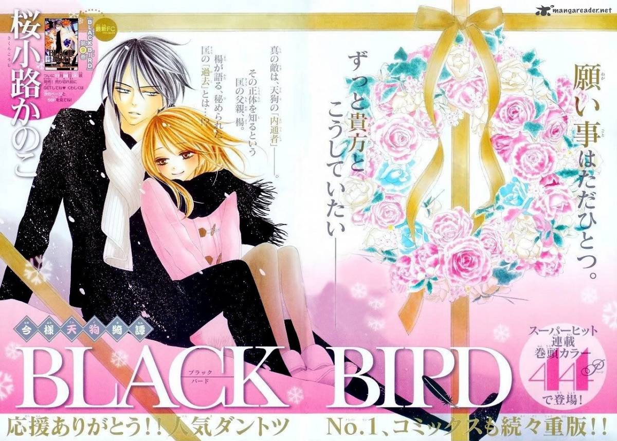 Black Bird 33 2