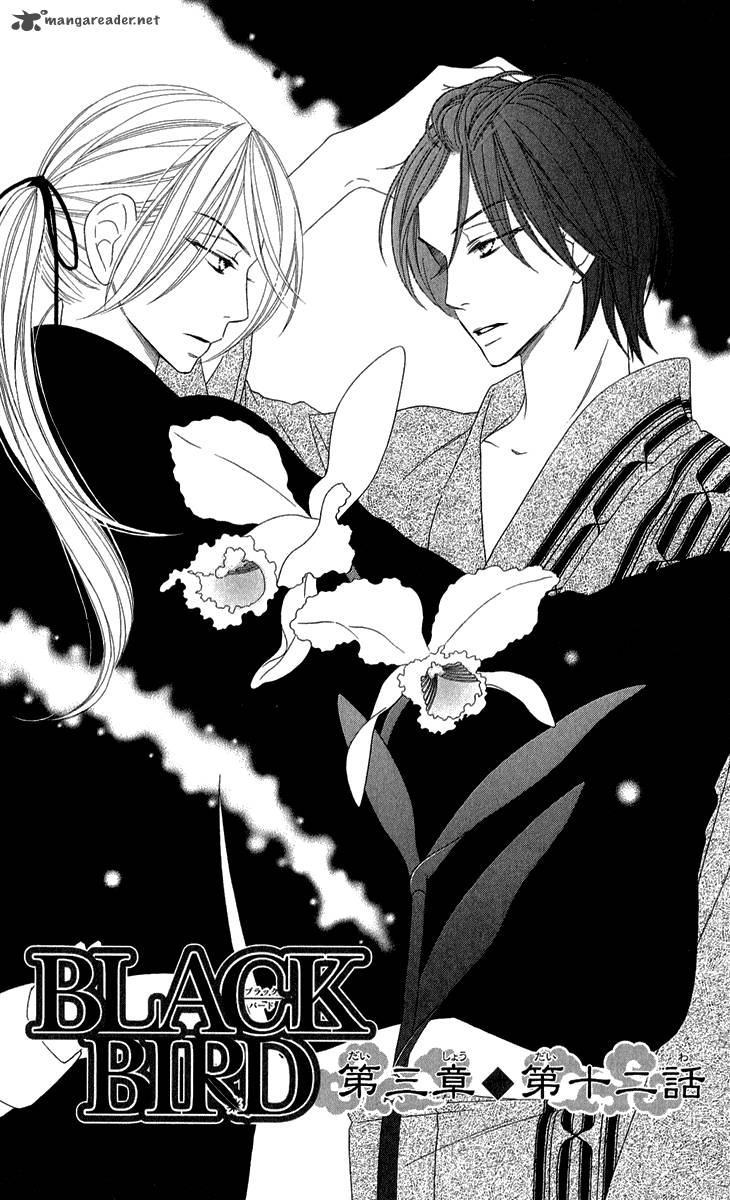Black Bird 44 7